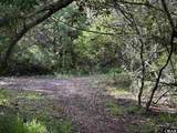 0 Sand Dune Trail - Photo 3