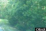 104 Cliffs Of Colington Trail - Photo 2