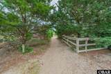25236 Wimble Shores North - Photo 4