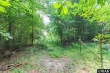 1225 Lynch's Corner Road - Photo 42