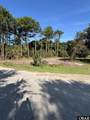52646 Piney Ridge Road - Photo 4
