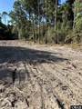 52646 Piney Ridge Road - Photo 7