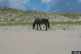 1703 Ocean Pearl Road - Photo 81