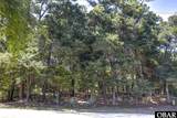 47310 Lost Tree Trail - Photo 7