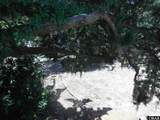 21 Tutles Lane - Photo 48
