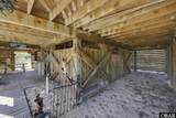 503 Canary Lane - Photo 49