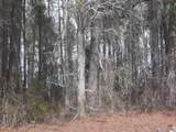 TBD Griffin Swamp Road - Photo 1