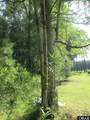 182 Will Poyner Lane - Photo 22