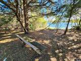 41693 Pony Pasture Drive - Photo 52