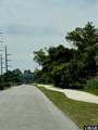 509 Palmetto Street - Photo 45