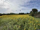 52201 Hughes Lane - Photo 10