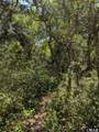  Live Oak Road - Photo 6