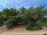 2241 Tarpon Road - Photo 5