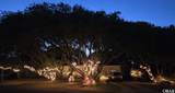 214 Palmetto Street - Photo 28