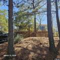 105 Plover Drive - Photo 49