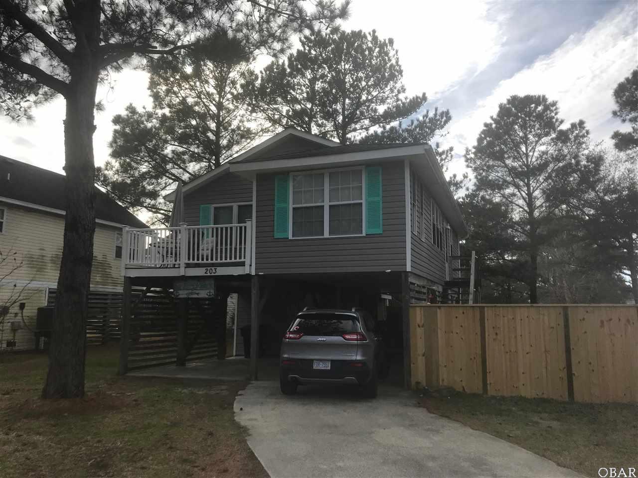203 Colington Drive - Photo 1