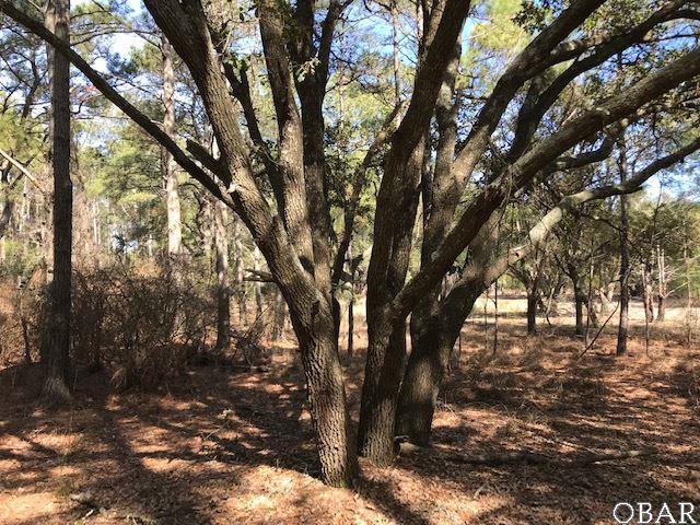 2386 Ocean Pearl Road - Photo 1