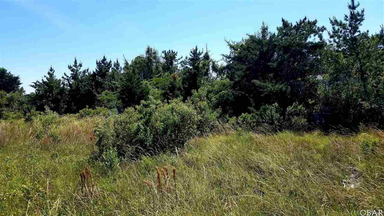 25236 Laughing Gull Lane - Photo 1