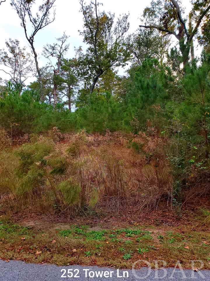 252 Tower Lane - Photo 1
