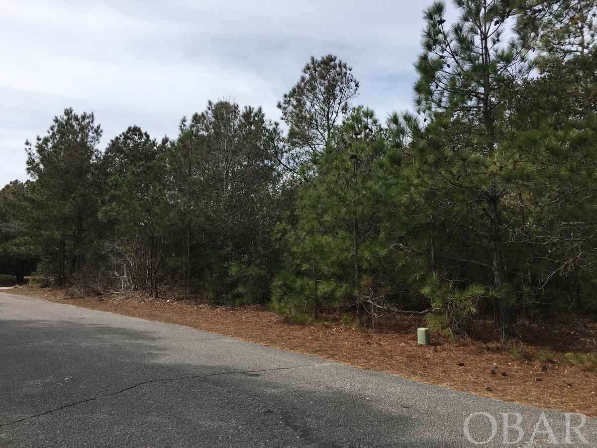 140 Goose Feather Lane - Photo 1