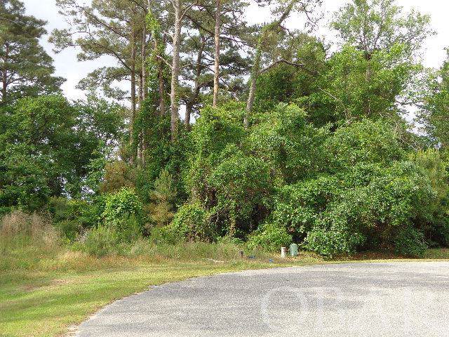1288 Lost Lake Lane - Photo 1 1288 Lost Lake Lane - Photo 1