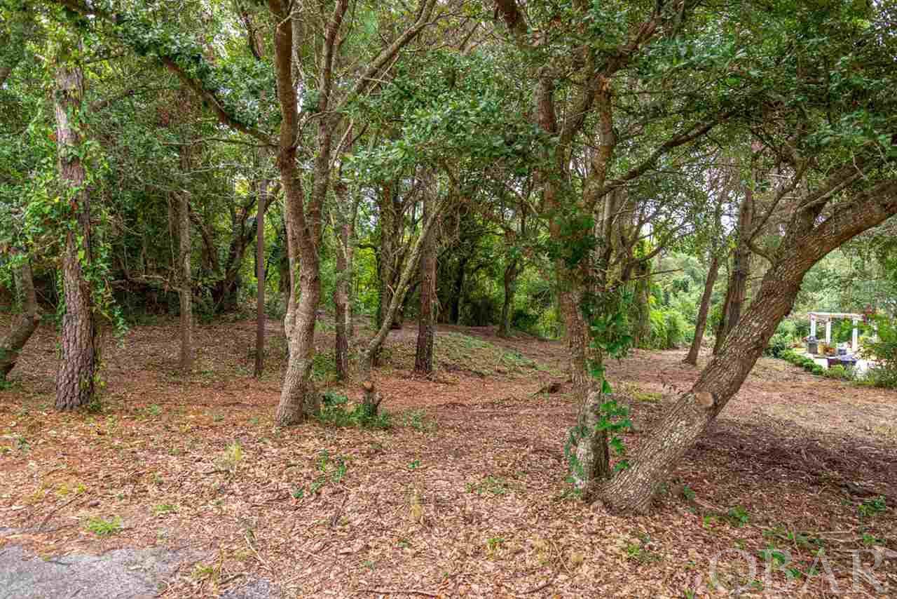 166 Tall Cliff Court - Photo 1