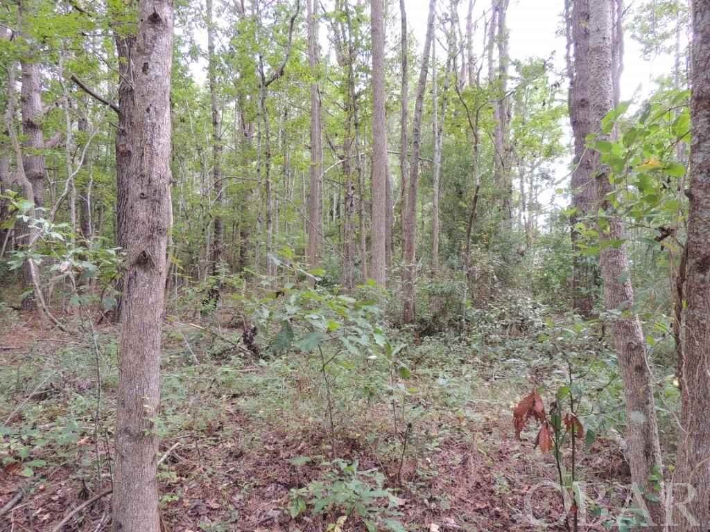 103 Hidden Acres Drive - Photo 1