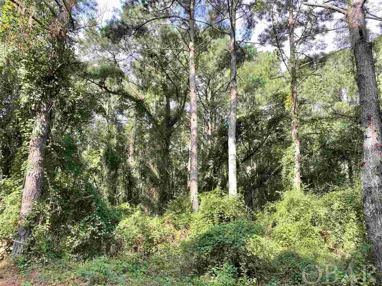 138 High Dune Loop - Photo 1