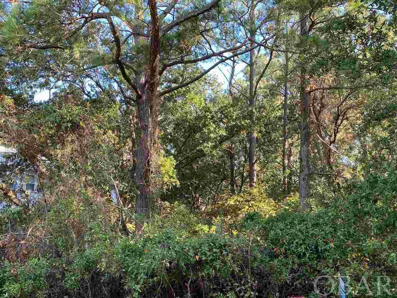 1905 Georgia Lane - Photo 1