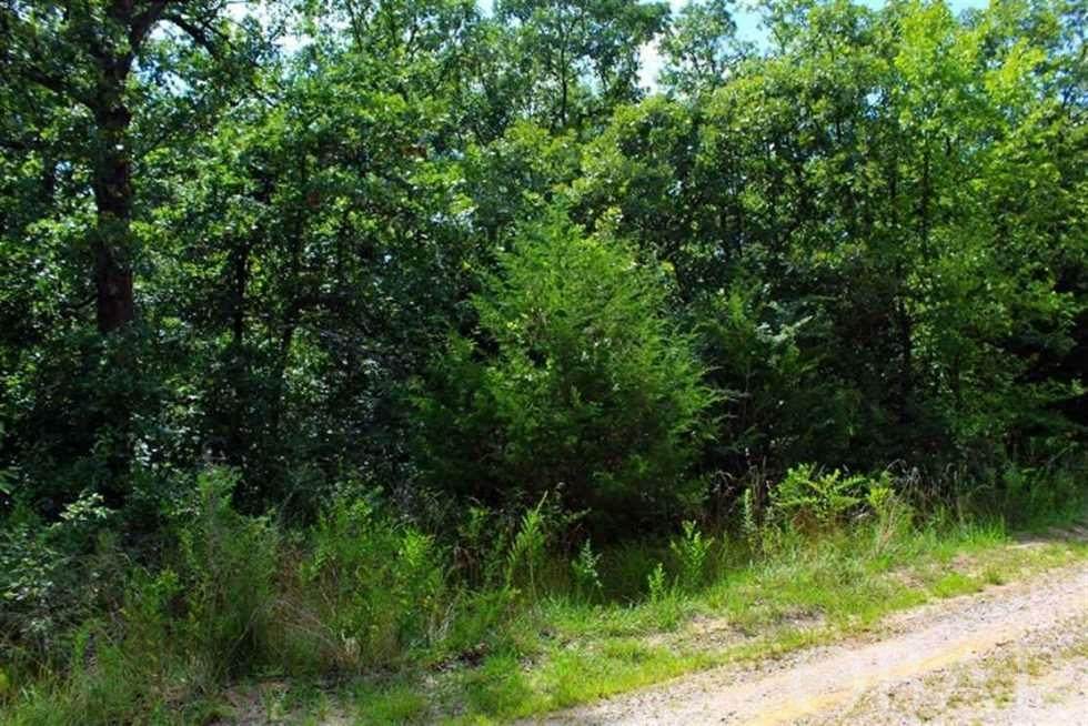 101 Lariat Triat Trail - Photo 1