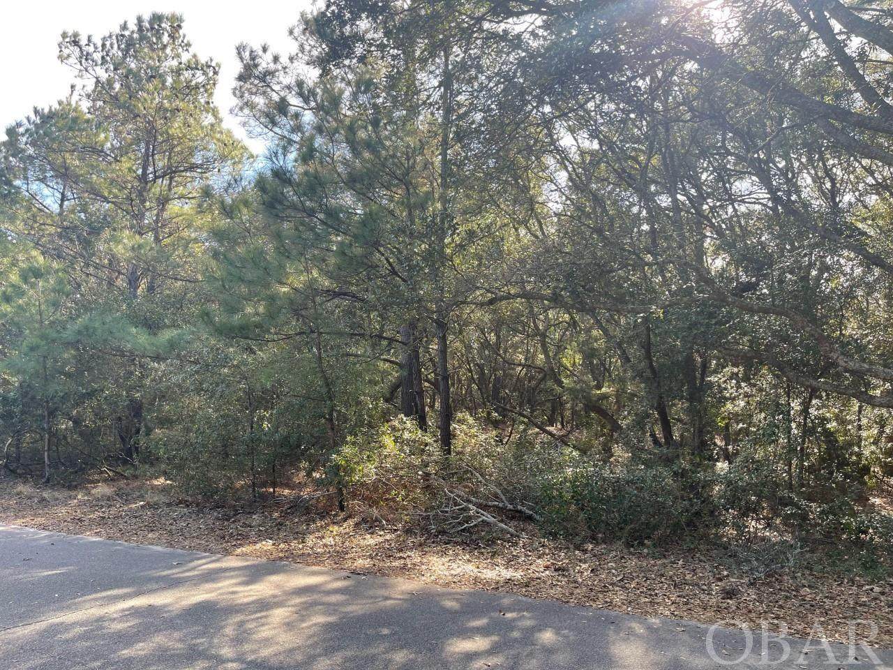 109 High Dune Loop - Photo 1