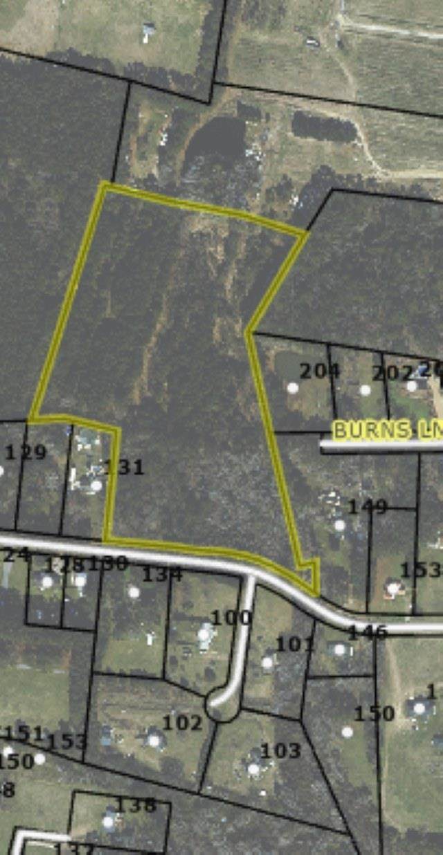 0 Brumley Road - Photo 1