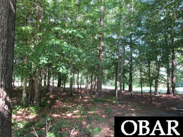  Roanoke Drive - Photo 1