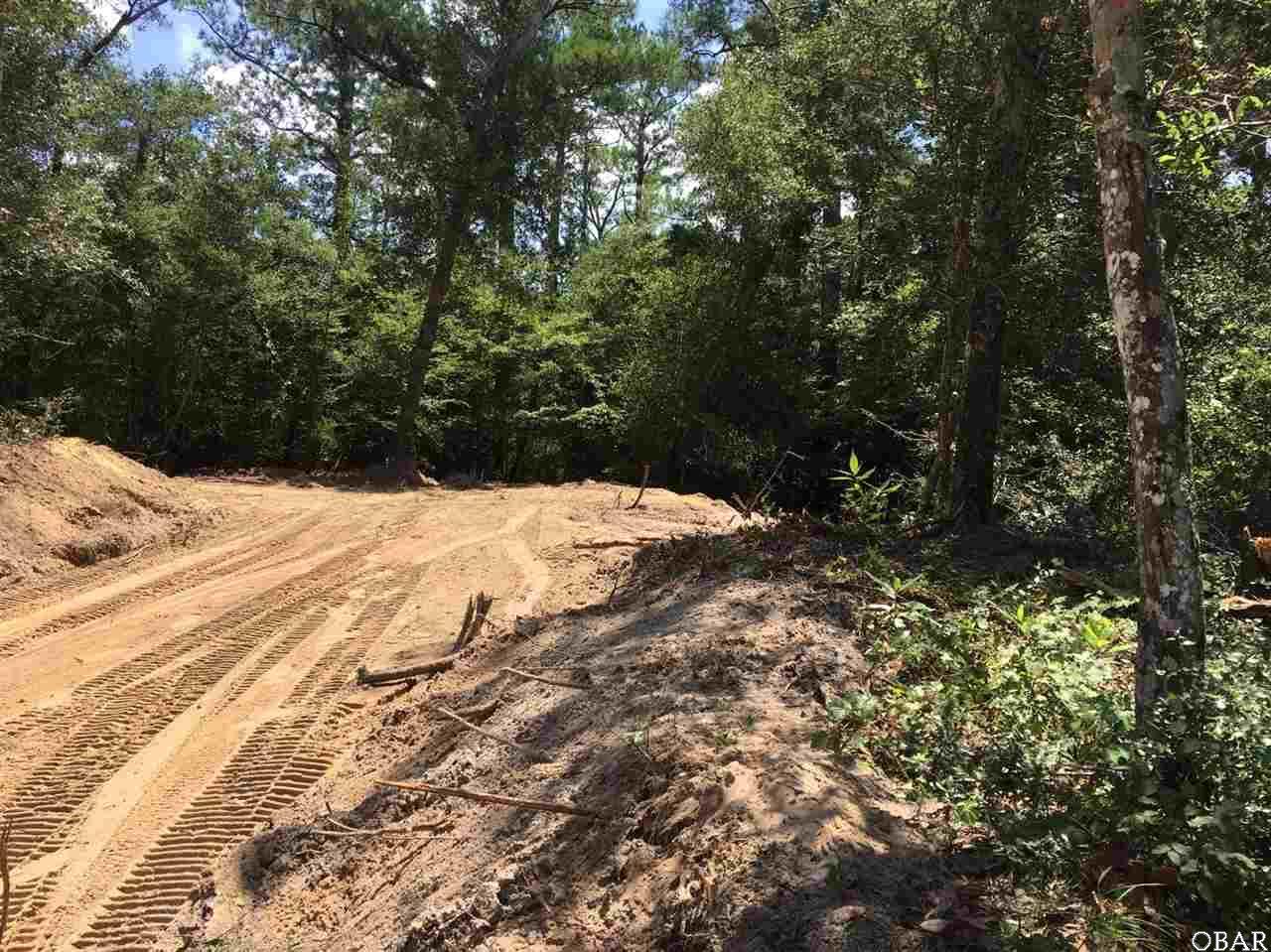 47253 Lost Tree Trail - Photo 1