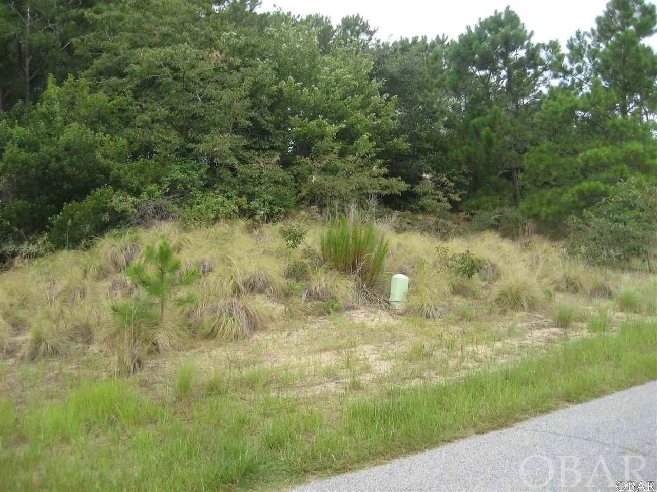 1060 Corolla Drive - Photo 1 1060 Corolla Drive - Photo 1