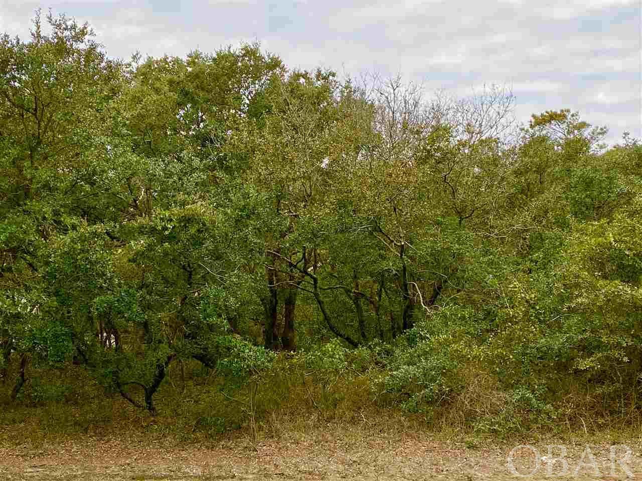 295 Duck Road - Photo 1