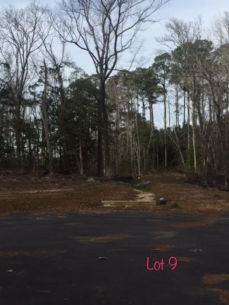 120 Etheridge Acres Lane - Photo 1