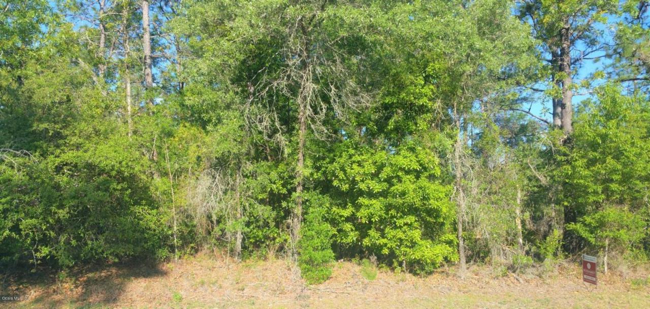 000 129th Terrace Road - Photo 1
