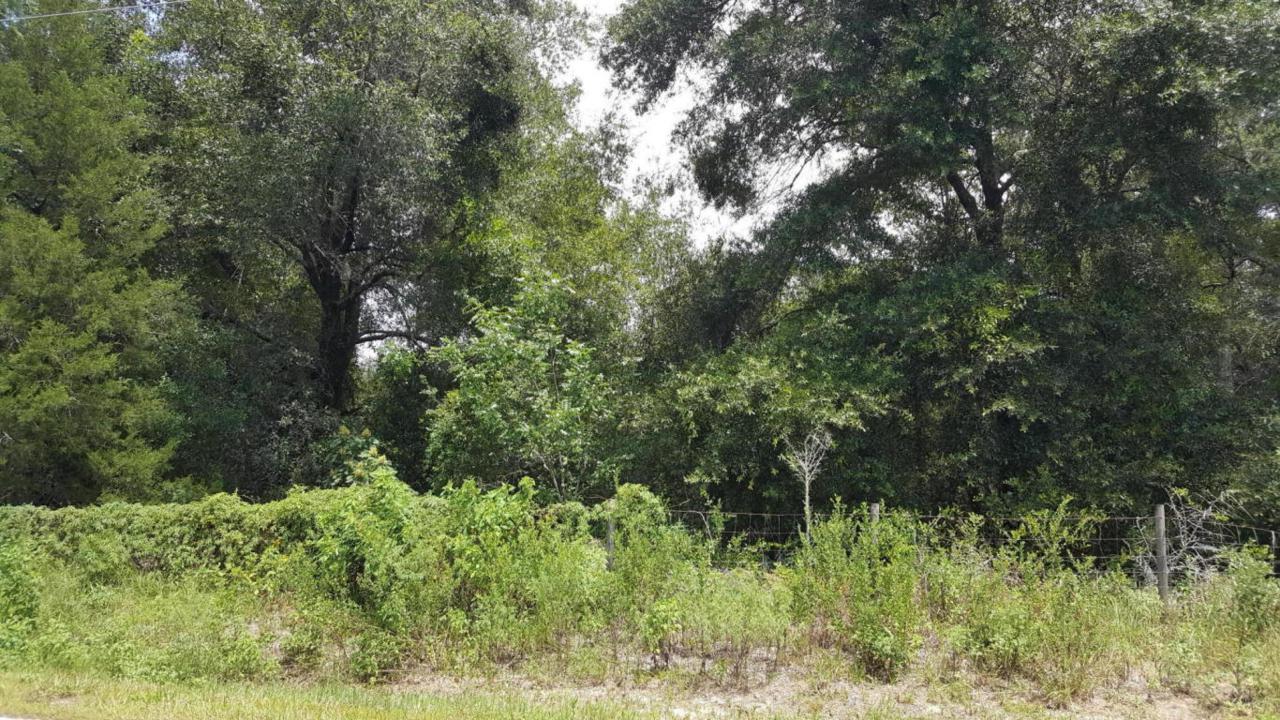 00 84 Terrace - Photo 1