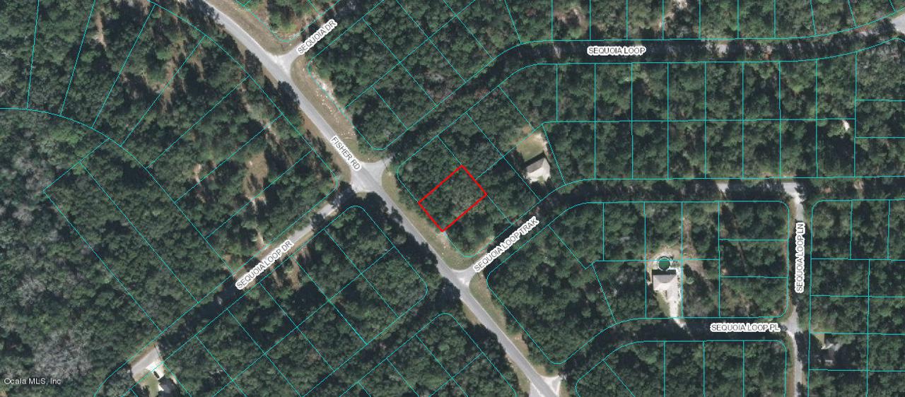 00 Fisher Road - Photo 1