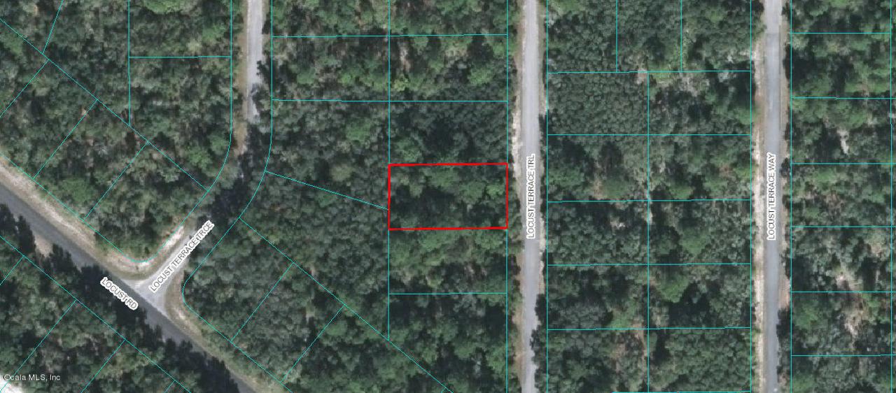 00 Locust Terrace Trail - Photo 1
