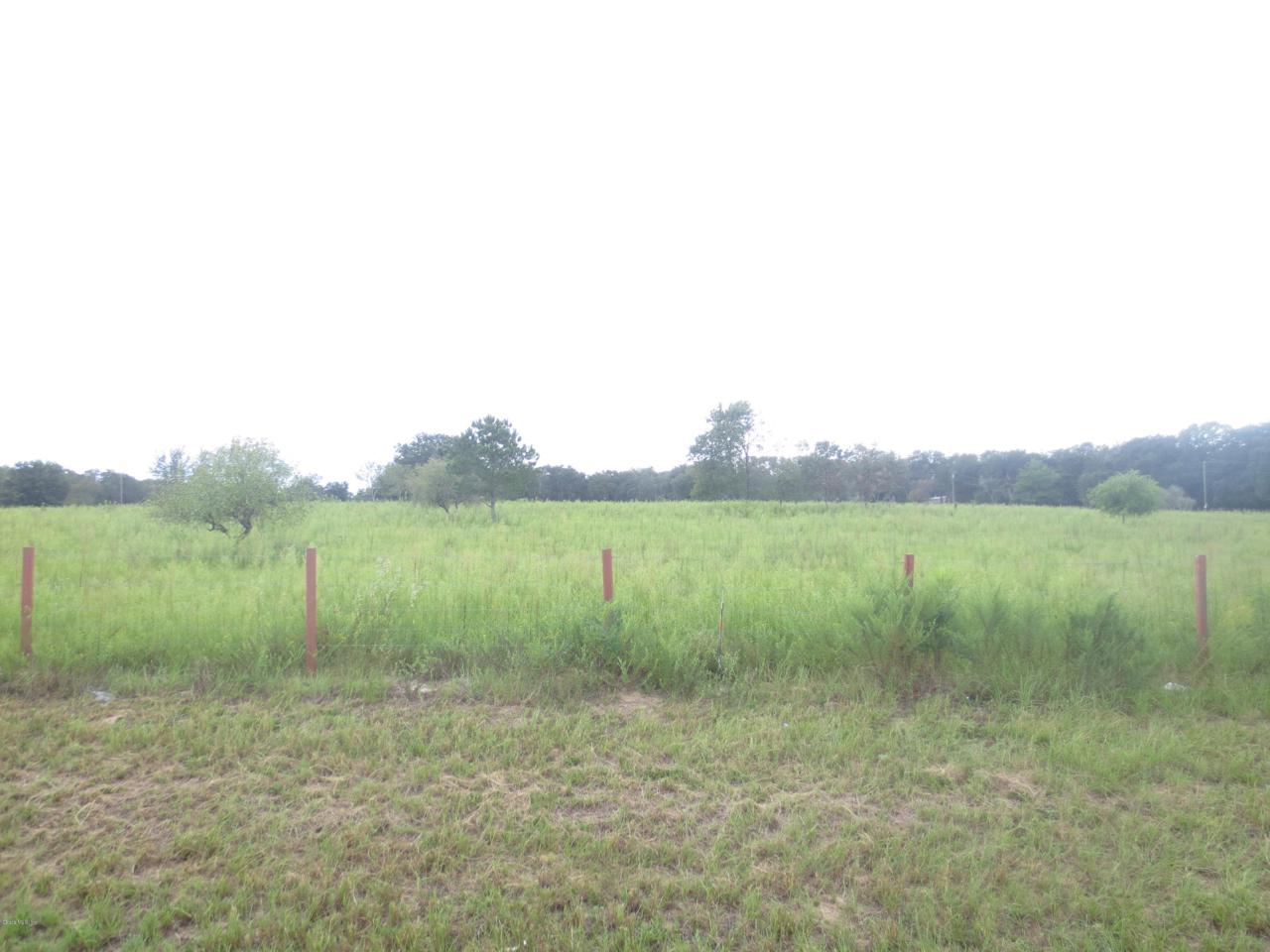 0 St Rd 464C - Photo 1