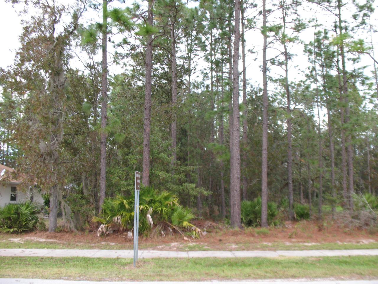 TBA Marion Oaks Trail - Photo 1