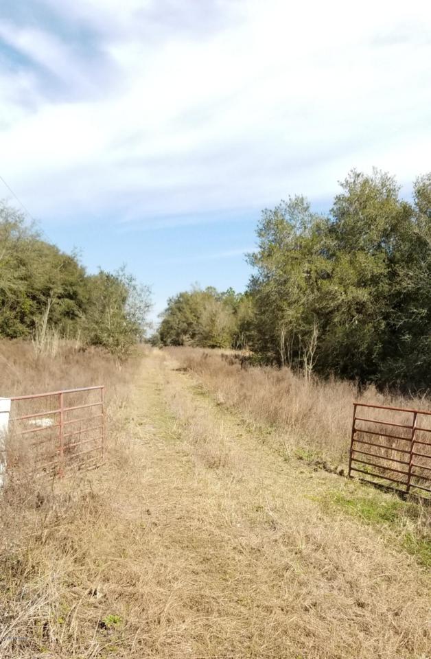 TBD Hwy 484 - Photo 1