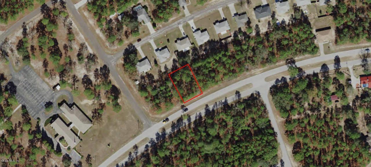 9226 Citrus Springs Boulevard - Photo 1