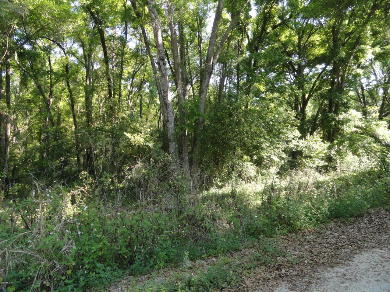0 131ST Lane - Photo 1