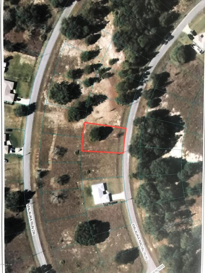 TBD (LOT 22) MALAUKA RADIAL RUN Road - Photo 1