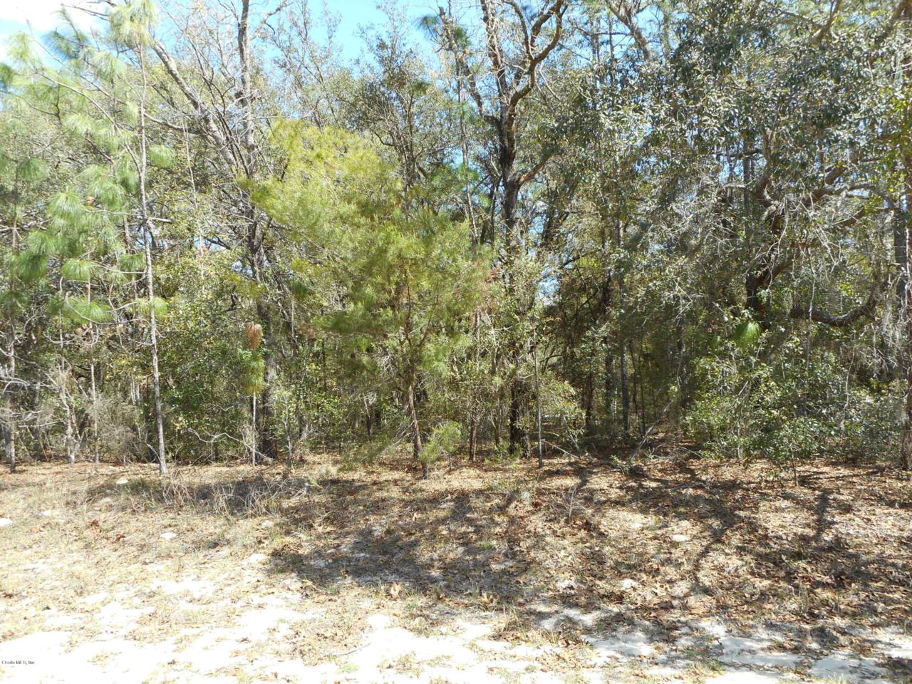 9633 Sherman Drive - Photo 1
