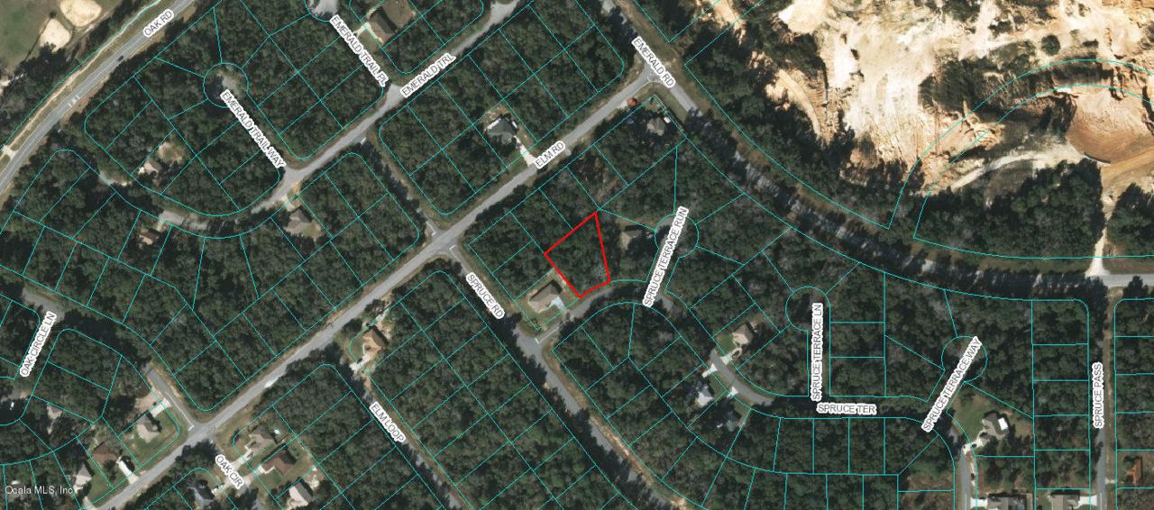 00 Spruce Road And Spruce Terr Run - Photo 1