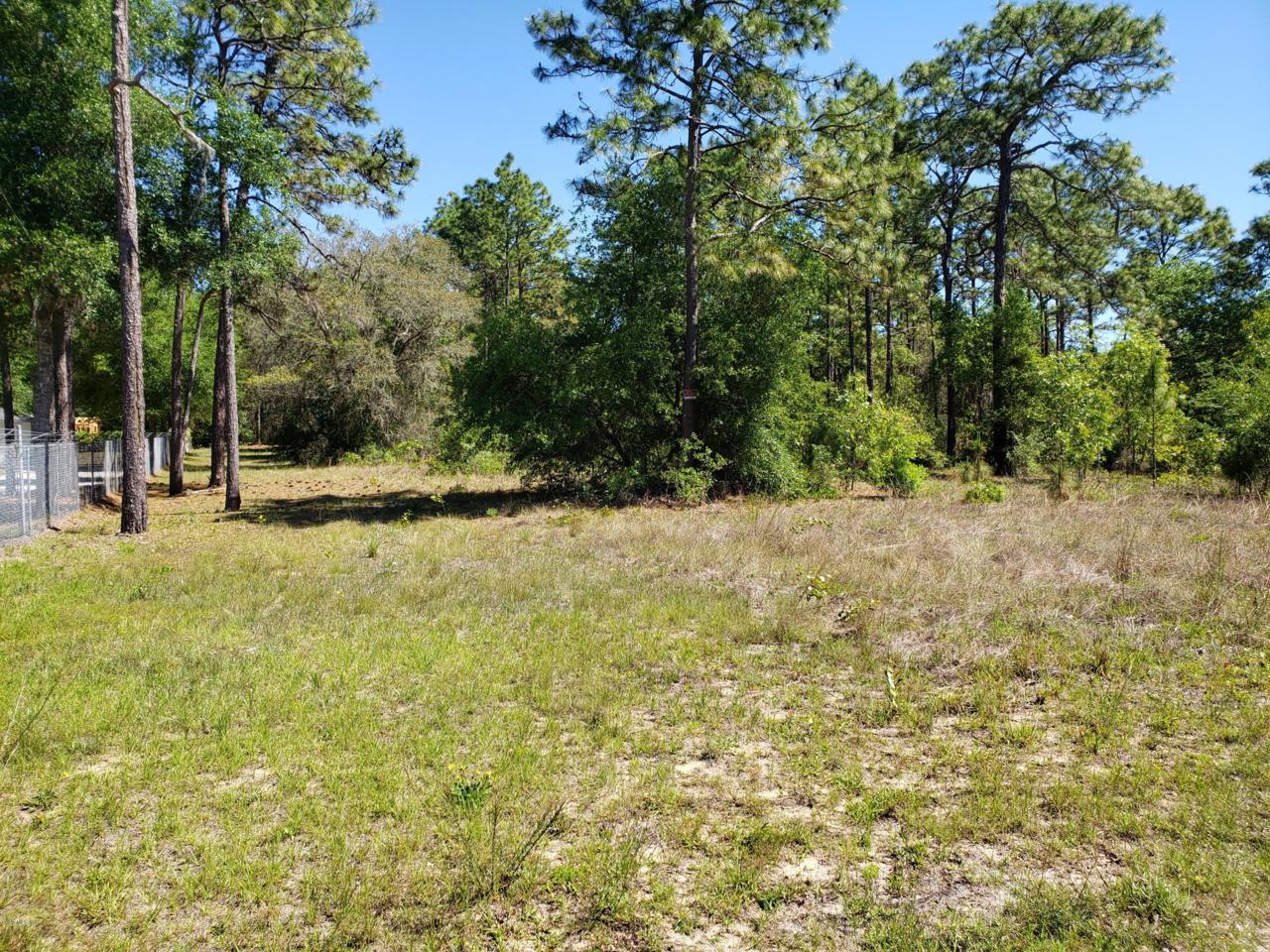 3607 Dunnellon Road - Photo 1